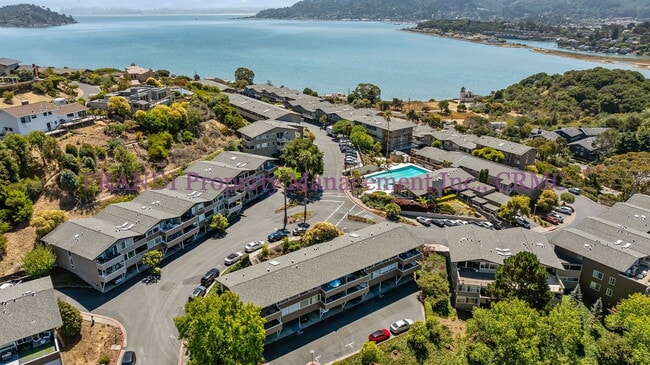 Building Photo - The Best View in Southern Marin! Luxury To... Unit 61