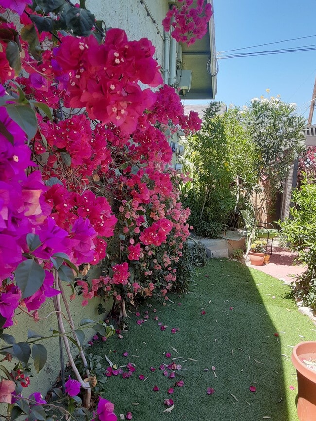 Photo - 13223 N 20th St