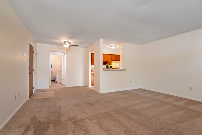 Winthrop Terrace - Findlay