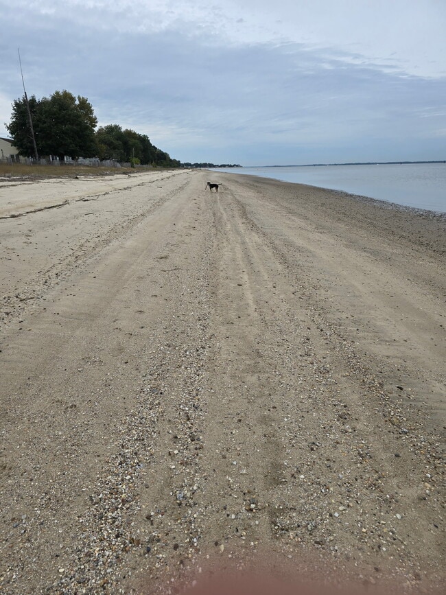 Photo - 18 Slape Ave