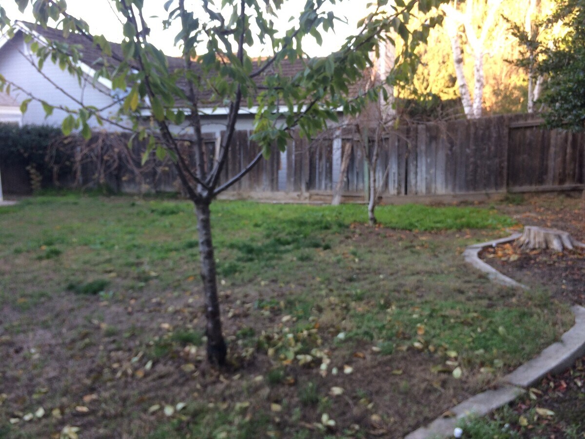 Photo - Walking Distance to Village One