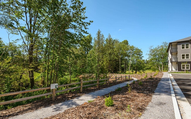 Walking trails along Alder Creek