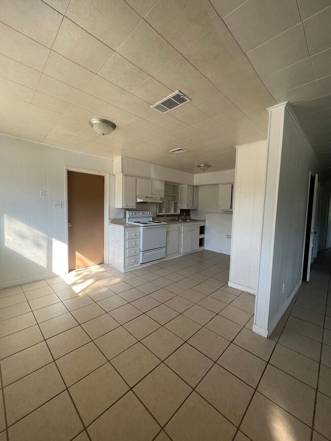 Photo - Swan Lake Cuttie...