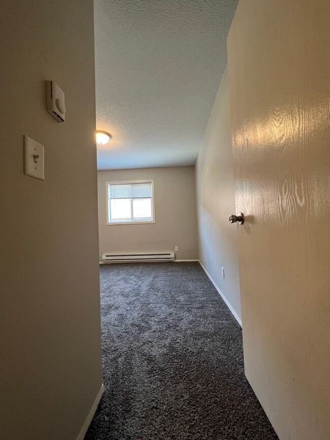 Photo - Spacious 2 Bedroom Apartment Near Mayo Clinic and Emplify Health Unit 4