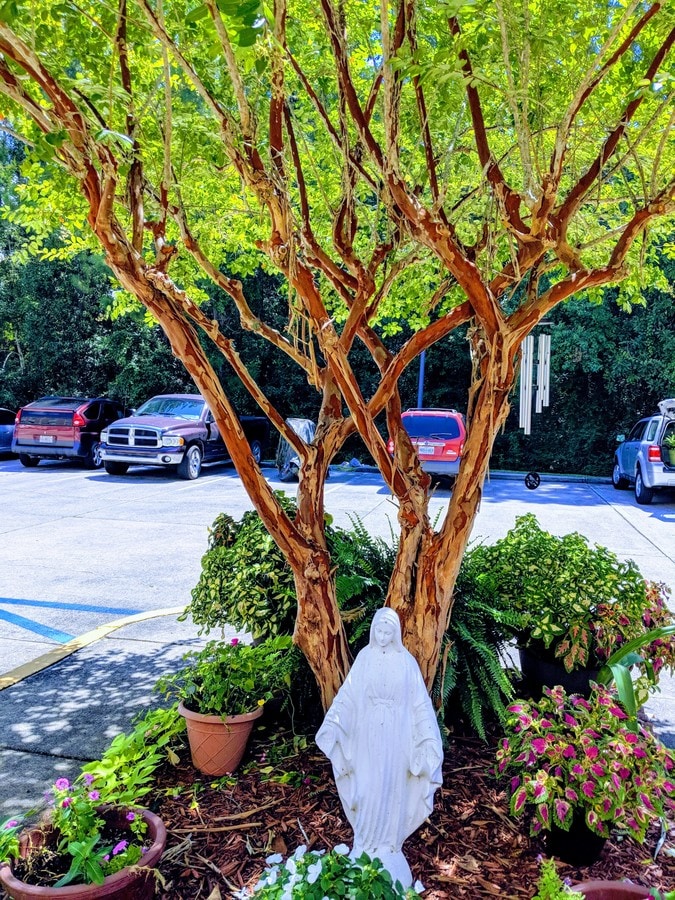 Photo - Carlow Manor