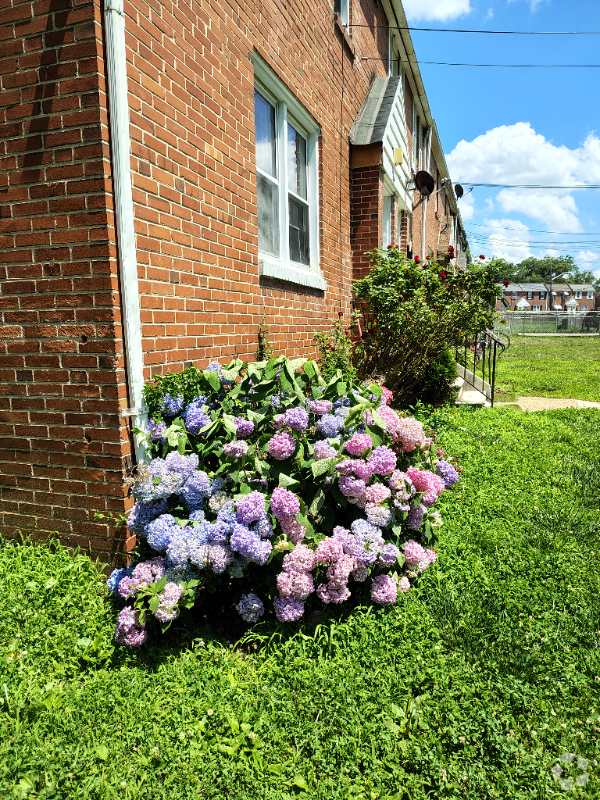 Building Photo - 2135 Seneca Rd Unit #B Rental