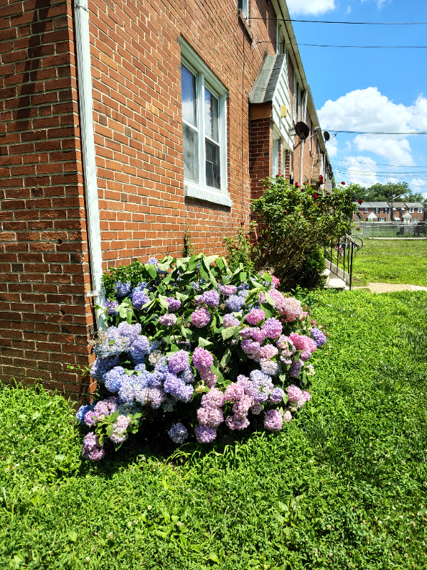 Photo - 2135 Seneca Rd Apartment Unit #B
