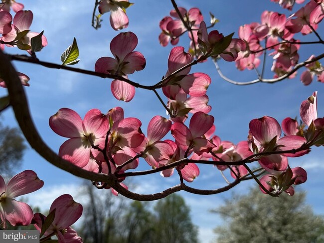 Photo - 12929 Esworthy Rd