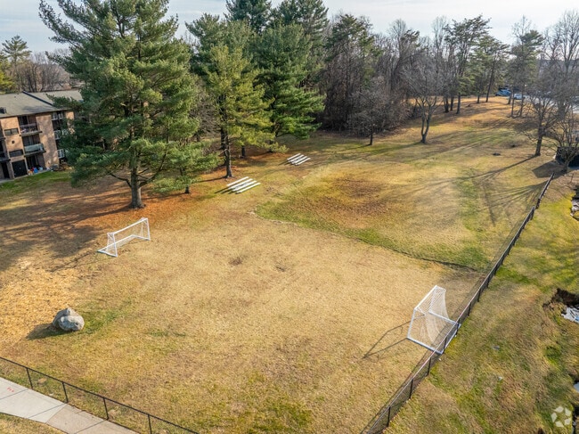 Campo de fútbol