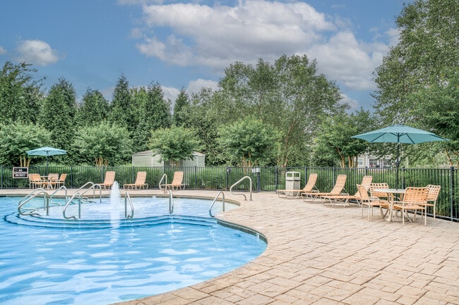 Pool & Lounge Area