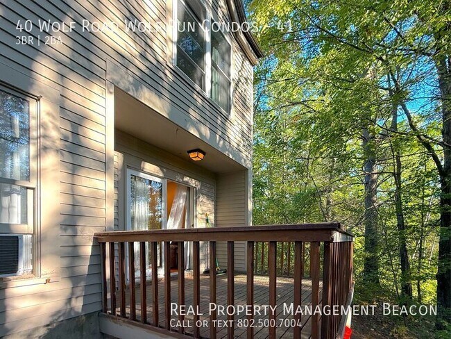 Photo - 40 Wolf Rd