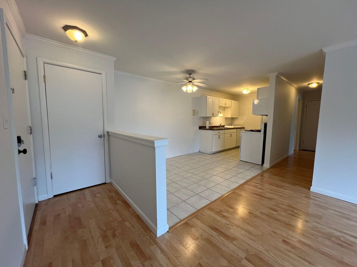 Photo - 255 Elmwood Ave