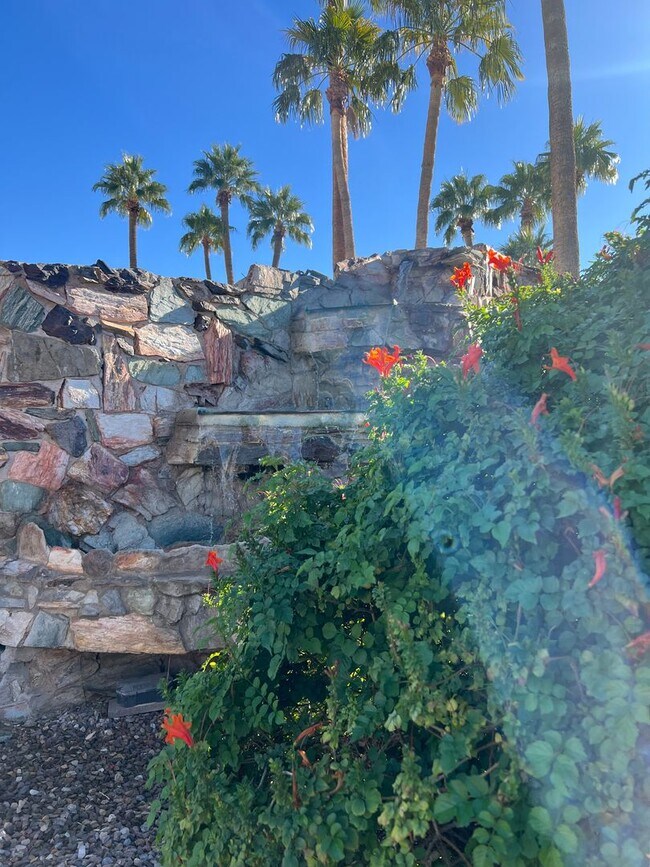 Photo - Scottsdale Condo