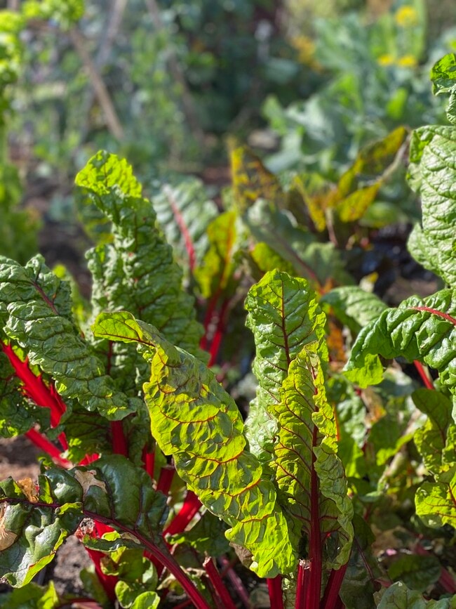 Photo - 6508 Dana St Unit D2