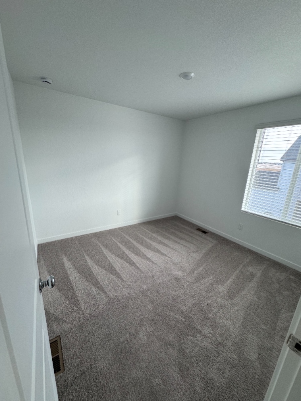 Building Photo - 9156 Percheron Pony Dr