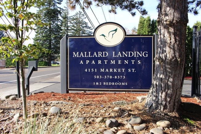 Mallard Landing