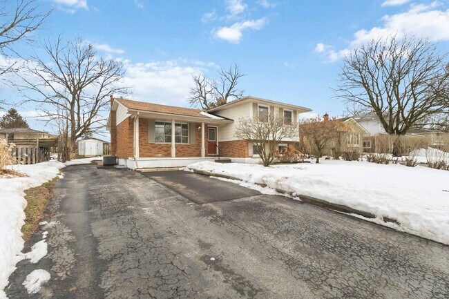 Photo - 32 Rollscourt Gardens