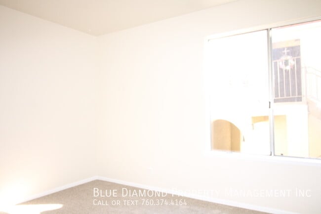 Photo - 1023 ficus-