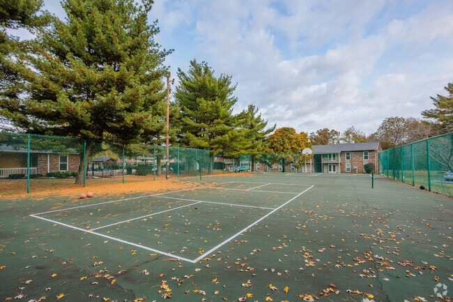 Cancha de baloncesto y pickleball - Kingwood