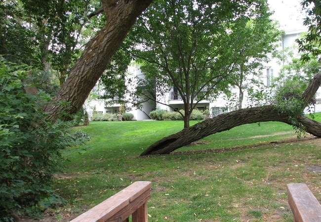 Highland Springs