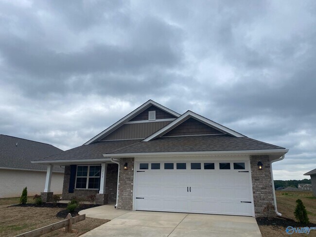 213 Alonzo Toney Dr