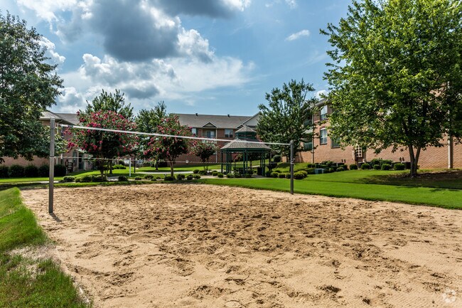 Volleyball Court