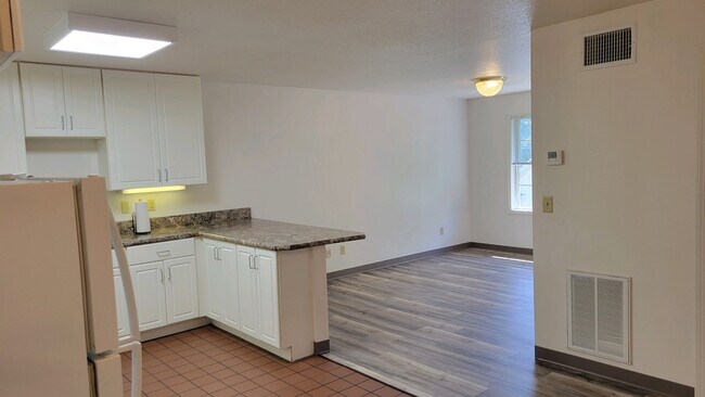 Kitchen / living room view (countertop color may vary) - 223 S Camp Ave Unit Camp Single Bedroom