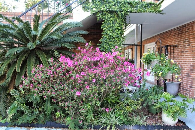 Photo - Fort King Manor