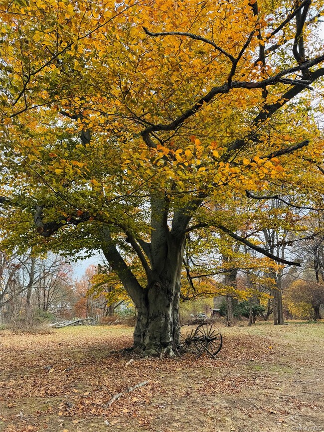 Photo - 72 Webb Rd Casa