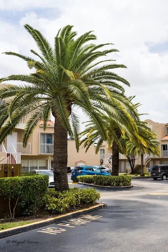 Photo - 8675 NW 5th Terrace