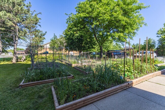 Photo - Gorgeous Renovated 2 Bed On Mall Road Unité 407