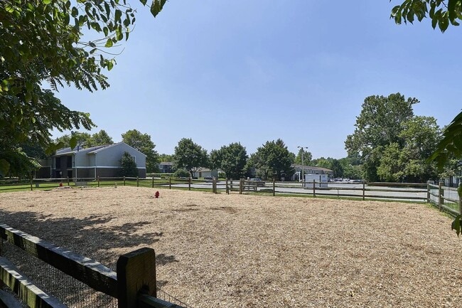 Bark Park