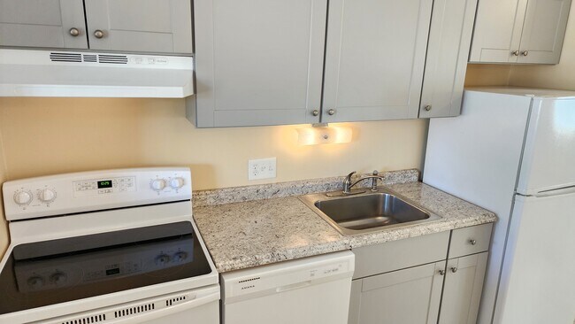 Building Photo - 918 S Logan St Unit 305