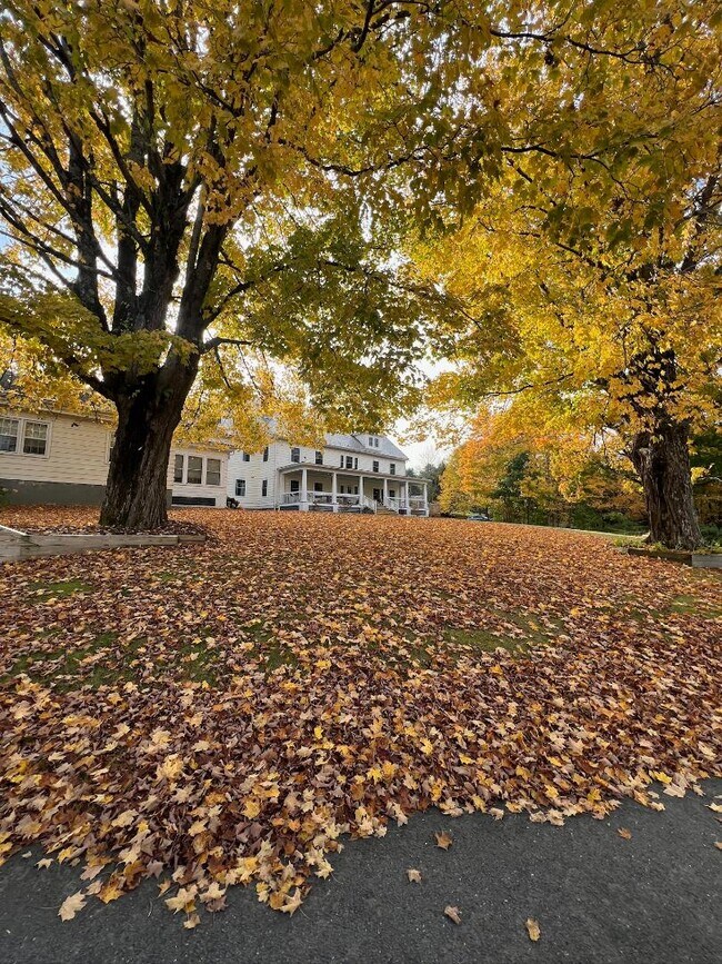 Photo - 365 Summer St