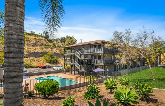 Photo - Vista Palms Apartments