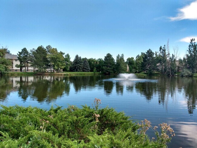 Photo - Updated 1bed/1bath in South Boulder - Avail June 5th!