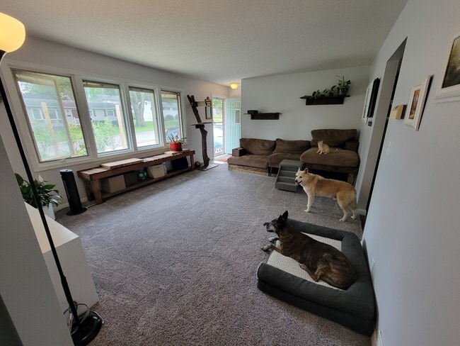 Photo - 512 Spruce Dr