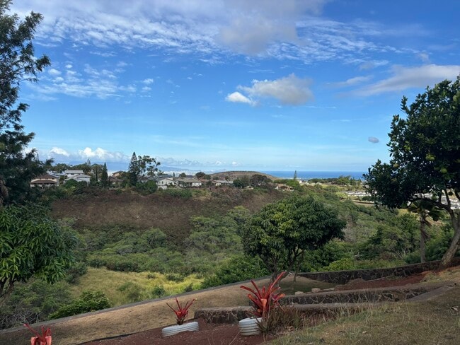 Photo - 92-5034-5034 Limukele St