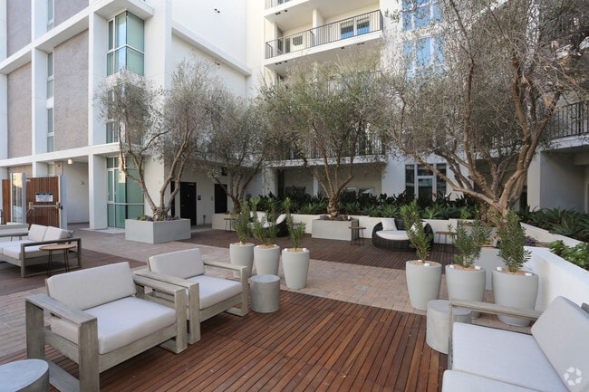 Sun Deck