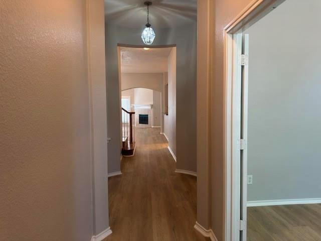 Photo - 9217 Amber Downs Dr