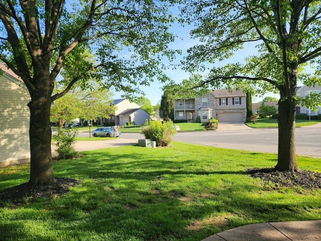 1146 Deercreek Dr