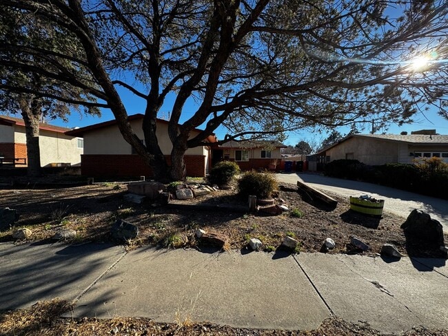 Photo - Mid-century Modern Heights Home