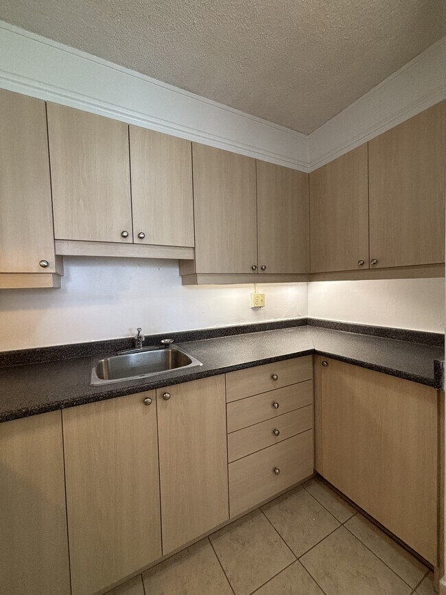 Photo - 263 MacLaren St