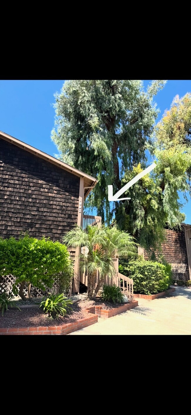 Building Photo - 1002 Cabrillo Park Dr