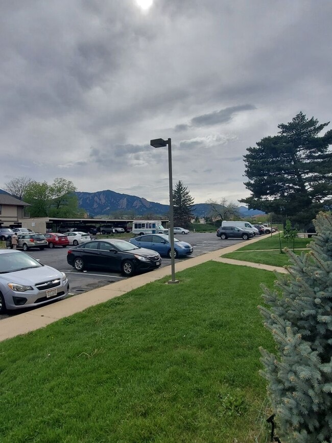 Photo - Recently Updated and Spacious 1B / 1B Available for June!