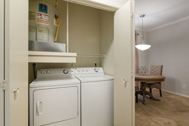 Photo - The Vineyards