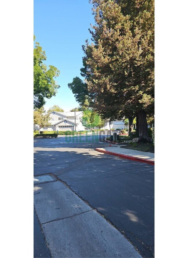 Photo - MOVE-IN SPECIAL $500 off first month!! Bea...