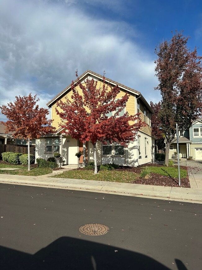 Photo - Patterson Stunner