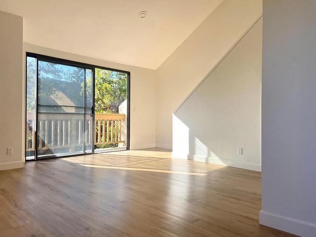 Photo - 501 Orange Blossom