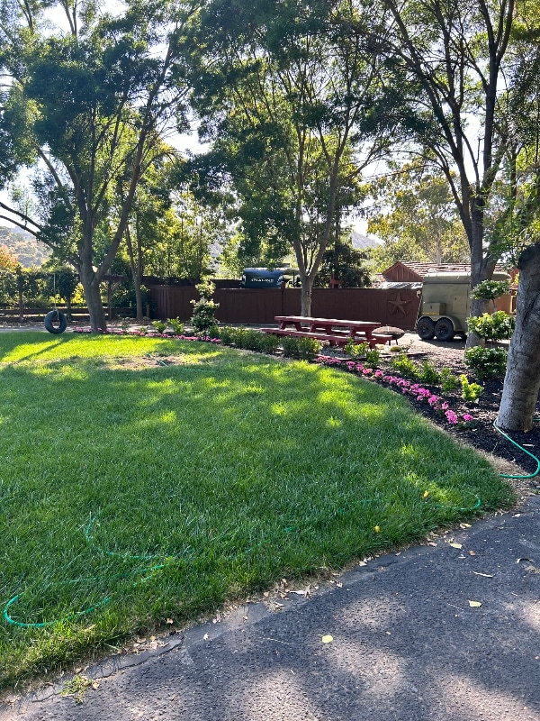 Photo - 155 Madrone Ave